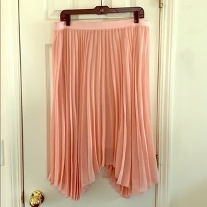 NWOT Beautiful Peach 🍑 Sheer Pleated Skirt with Slip